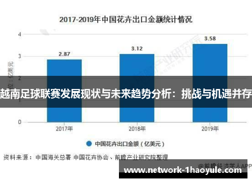 越南足球联赛发展现状与未来趋势分析：挑战与机遇并存